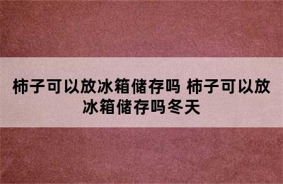 柿子可以放冰箱储存吗 柿子可以放冰箱储存吗冬天